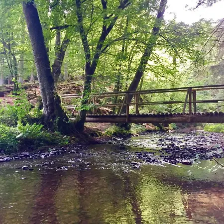 Auszeit-eifel Eifelhaus 