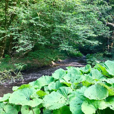 Prázdninový dům Auszeit-eifel Eifelhaus 