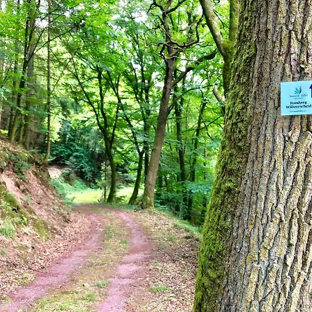 Auszeit-eifel Eifelhaus 
