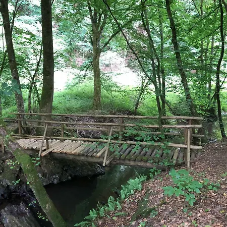 Feriehus Auszeit-eifel Eifelhaus 