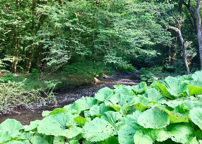 Dom wakacyjny Auszeit-eifel Eifelhaus 